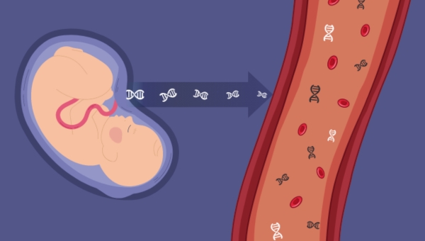 Image20260219-fetalfraction